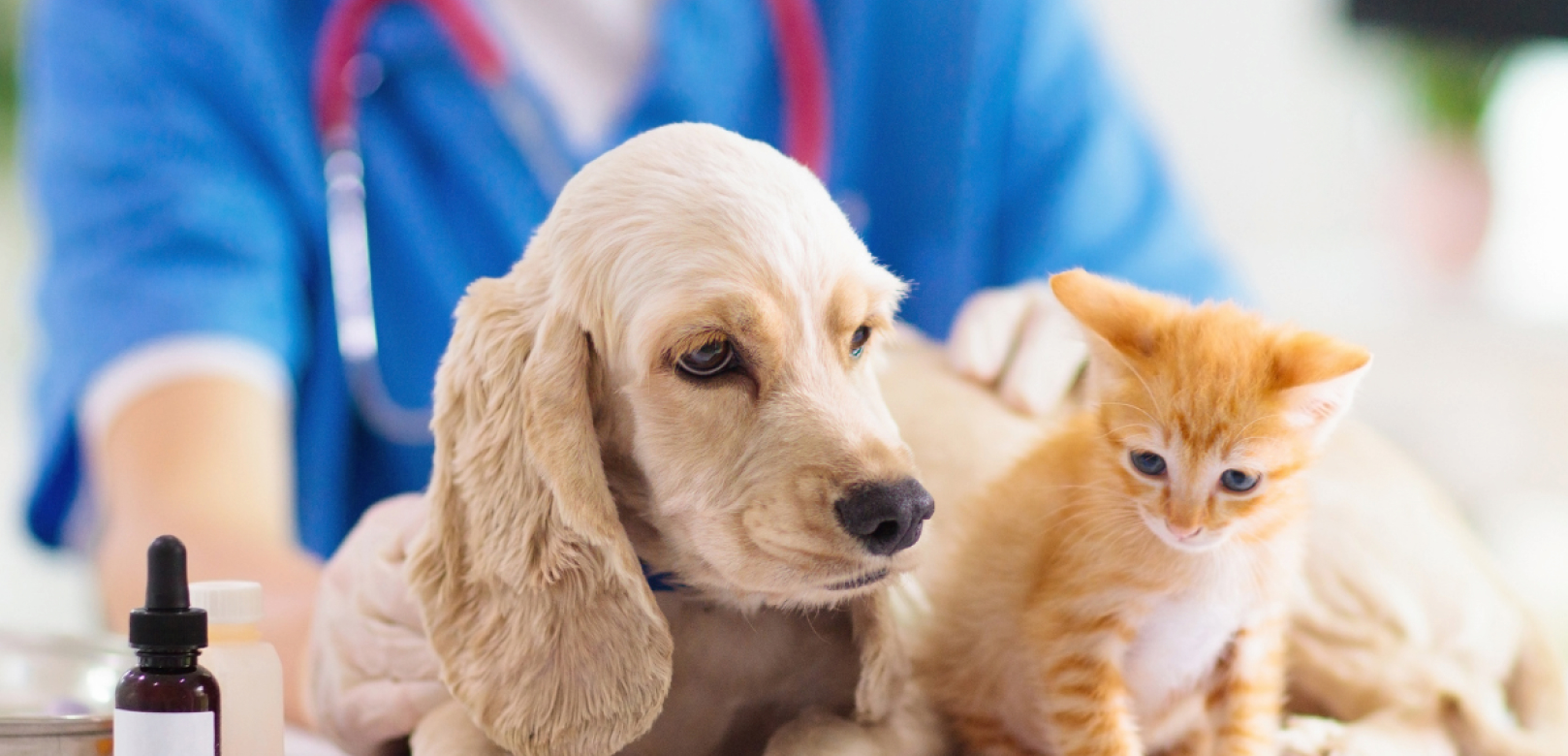 トップヒーロー表示