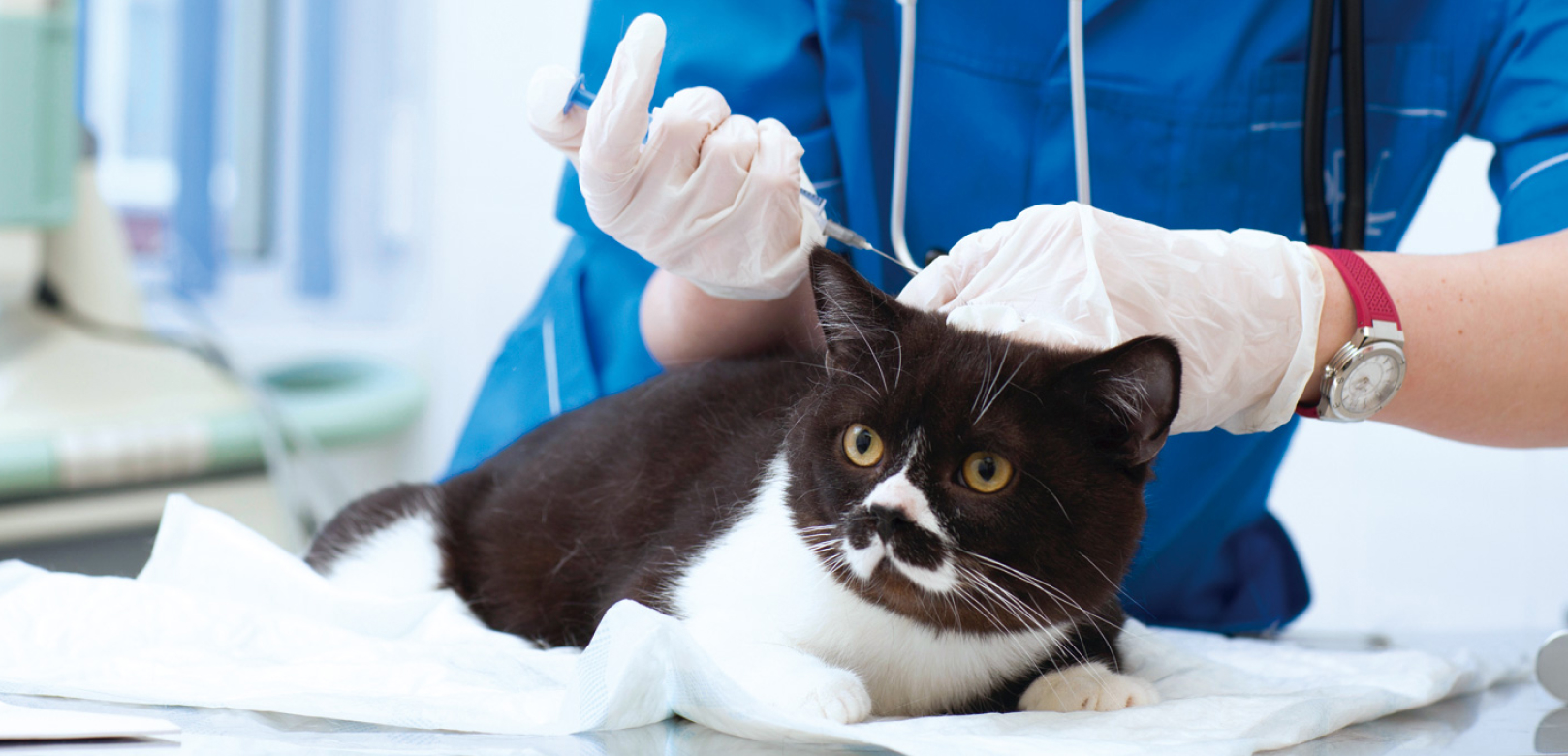 トップヒーロー表示